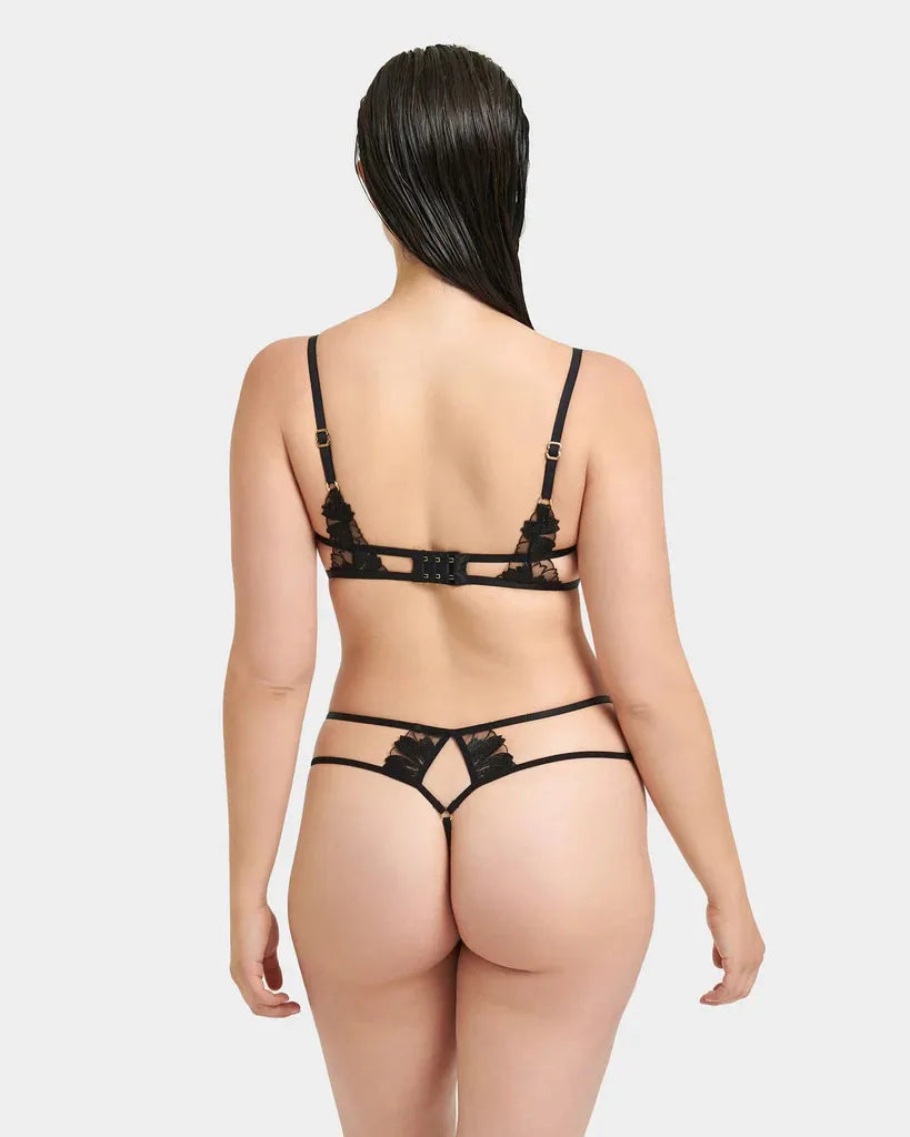 Colette Bra set in Black from Bluebella at Belle Lacet Lingerie in Phoenix and Gilbert