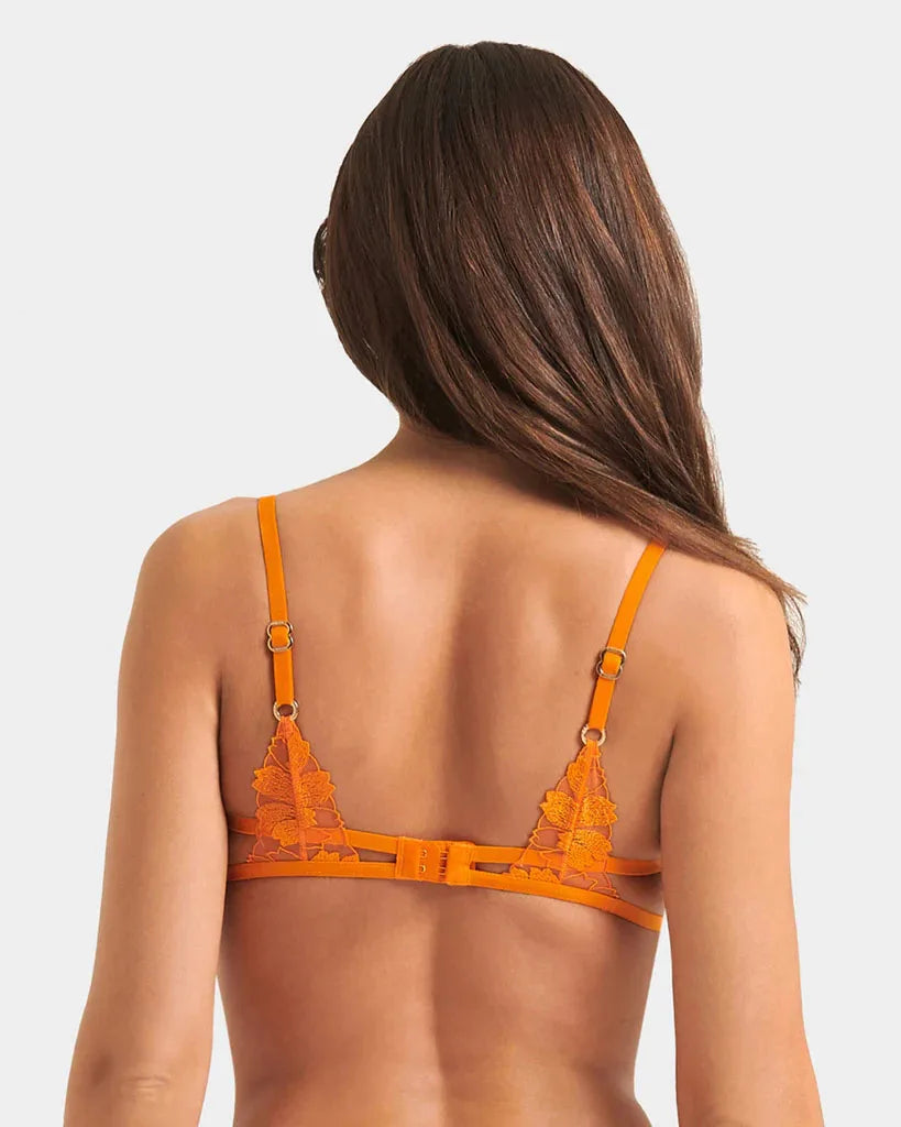 Colette Bra Orange Peel from Bluebella at Belle Lacet Lingerie in Phoenix and Gilbert