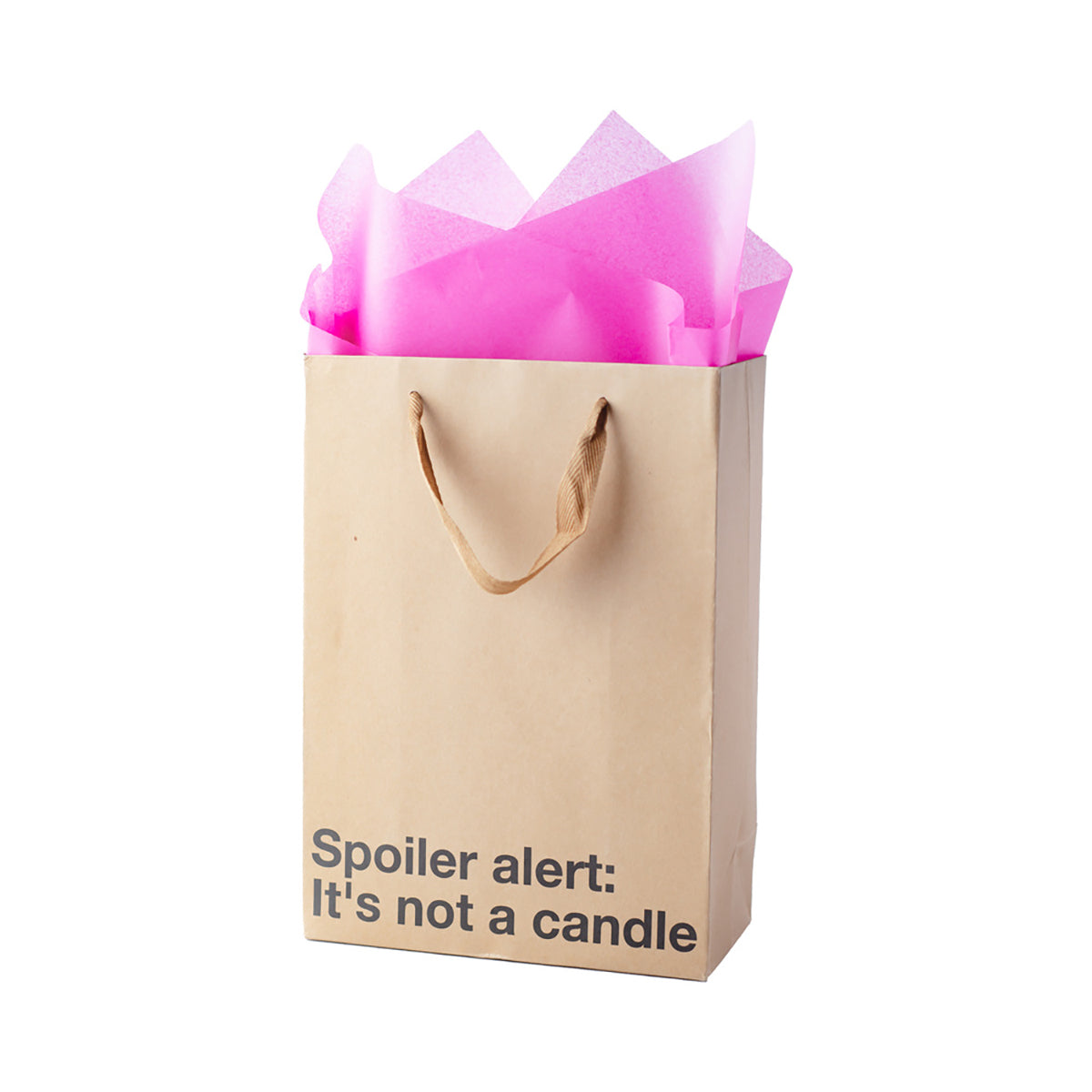 Snarky Gift Bags Not A Candle 3pk-Belle Lacet Lingerie