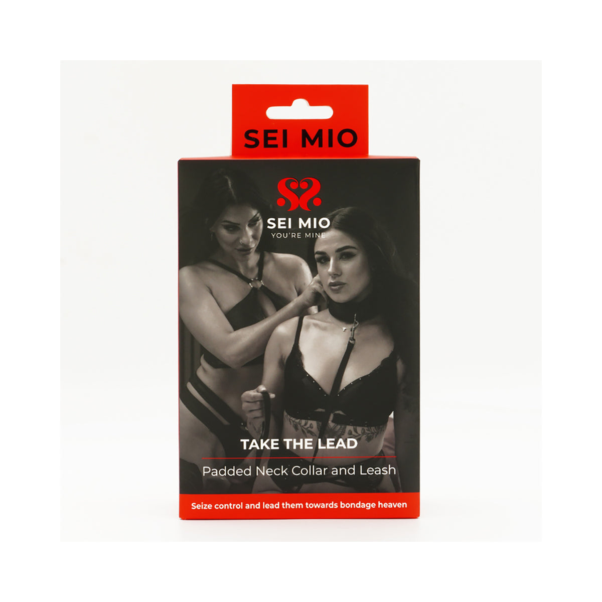 SEI MIO Take the Lead Padded Neck Collar and Leash-Belle Lacet Lingerie