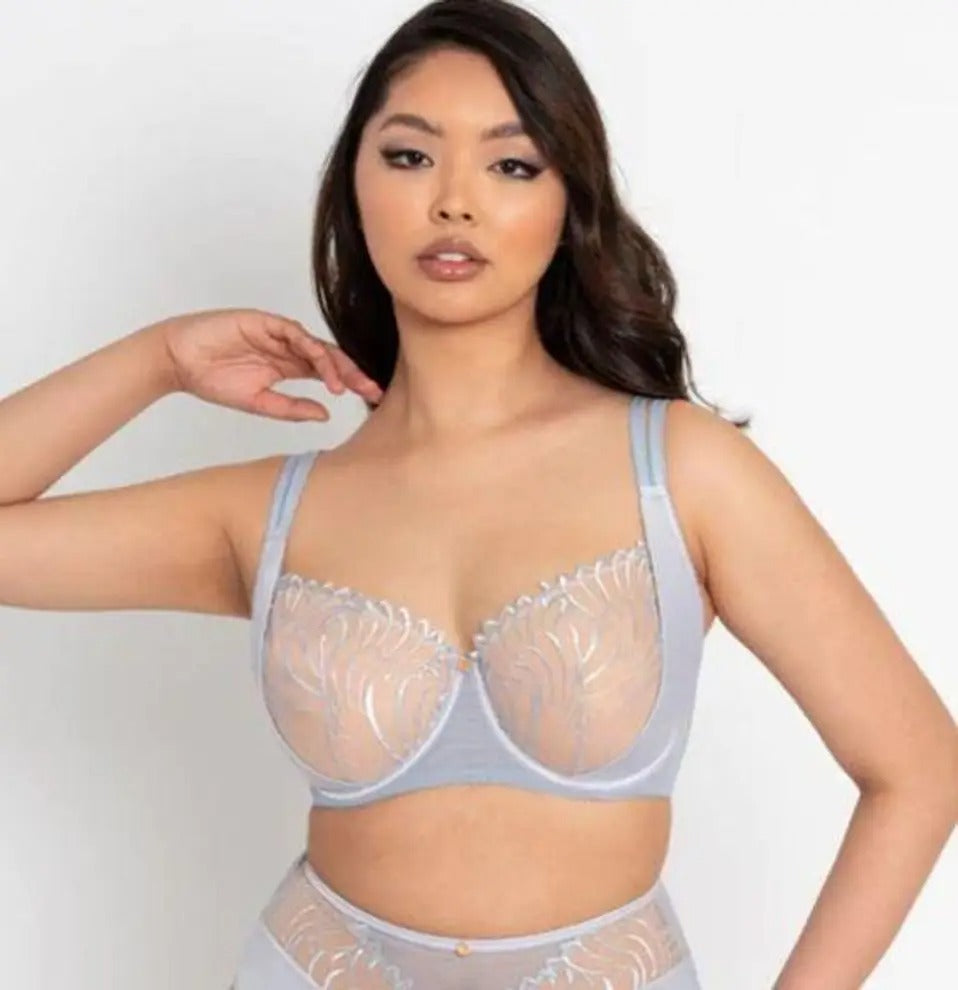 Scantilly by Curvy Kate Fallen Angel Balcony Bra