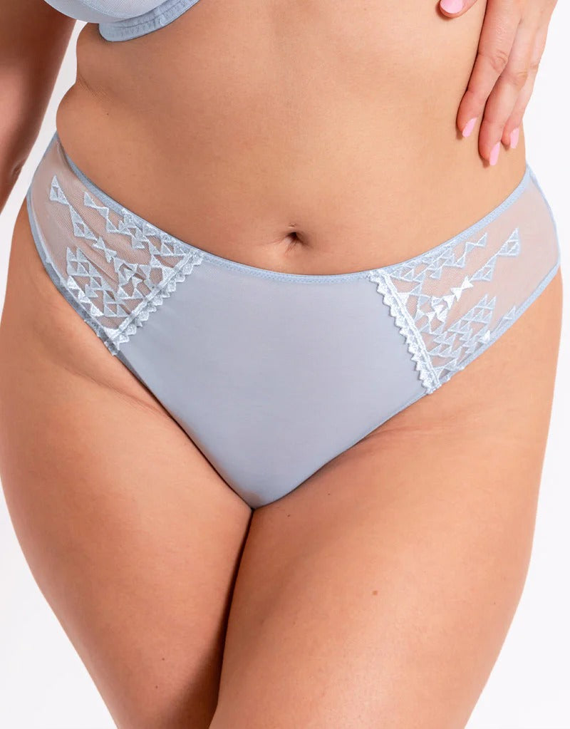 Light gray lace underwear on a white background